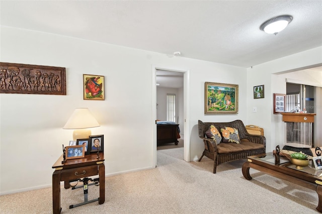 view of carpeted living room