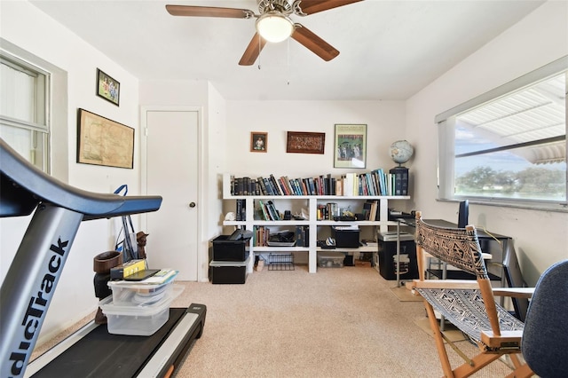 office space with carpet flooring and ceiling fan