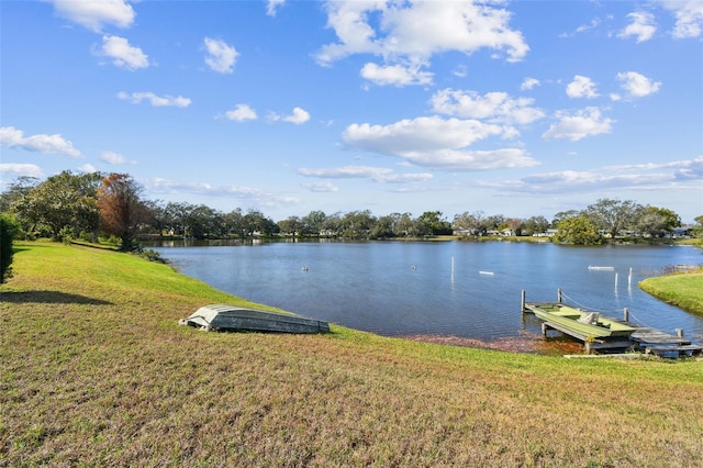 property view of water with a boat dock