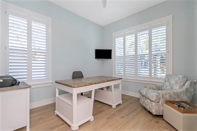 office space with plenty of natural light, ceiling fan, and light hardwood / wood-style flooring