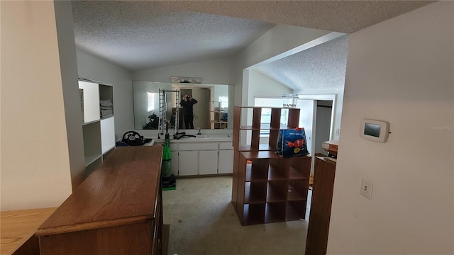 interior space featuring lofted ceiling, light carpet, a textured ceiling, and plenty of natural light