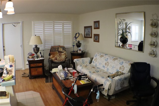 living room with light hardwood / wood-style flooring