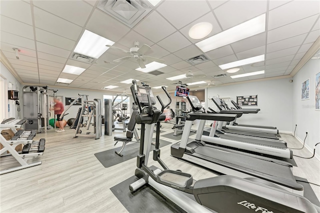 exercise room with ceiling fan, ornamental molding, a paneled ceiling, and light hardwood / wood-style flooring