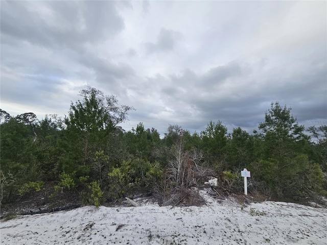 Listing photo 3 for 0 Gallardia Dr, Indian Lake Estates FL 33855