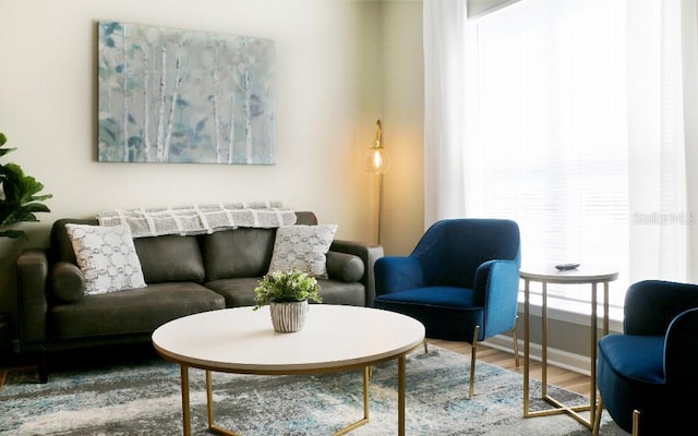 living room with hardwood / wood-style floors