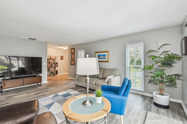 living room featuring wood-type flooring and a textured ceiling