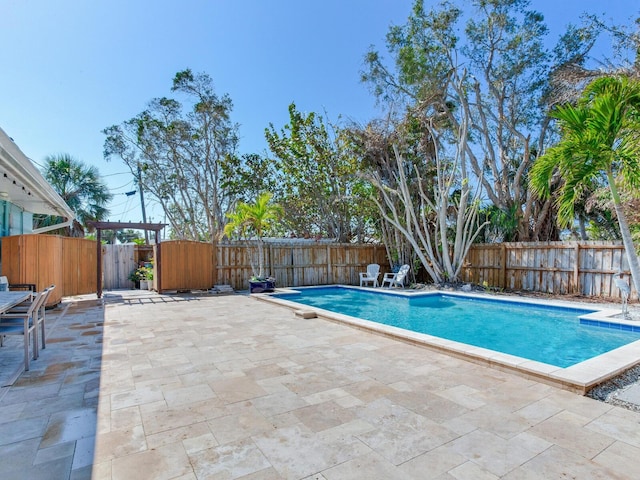 view of pool with a patio area