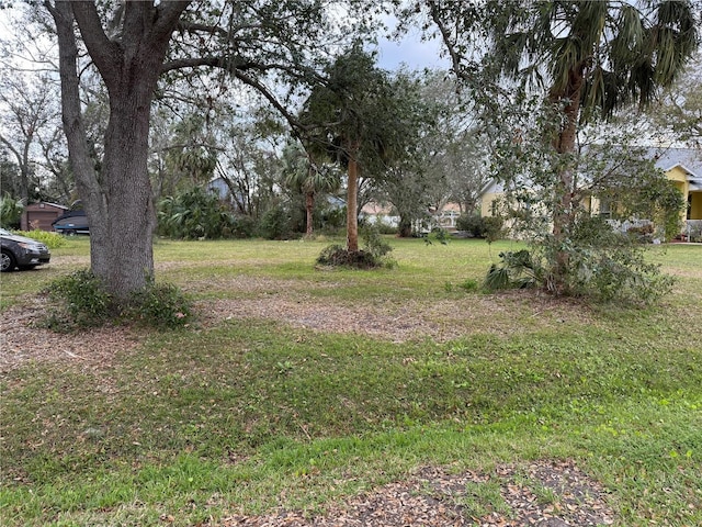 10407 Kankakee Ln, Riverview, FL 33578 - photo 4