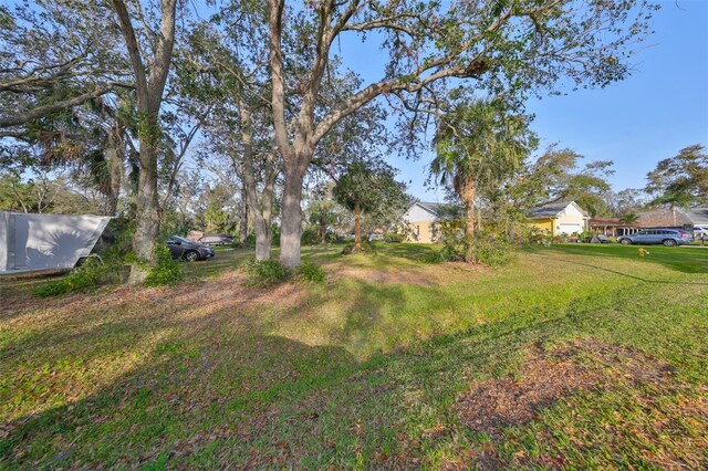 10407 Kankakee Ln, Riverview, FL 33578 - photo 8