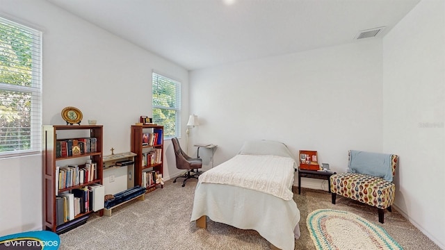 view of carpeted bedroom