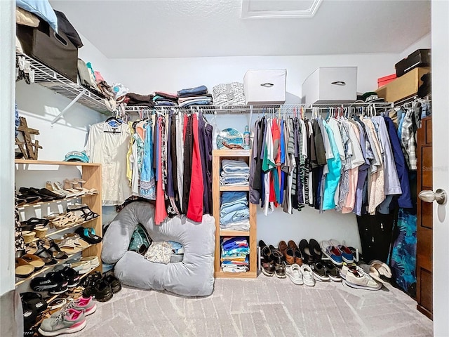 walk in closet with carpet floors