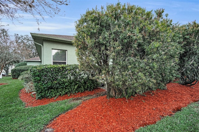 view of side of property featuring a yard and stucco siding