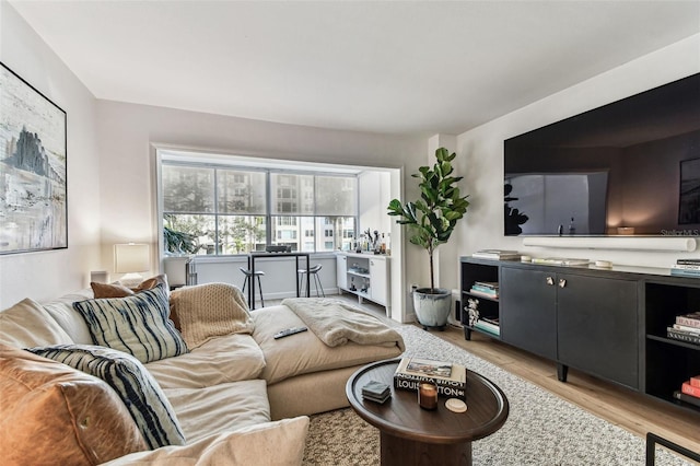 living room with light hardwood / wood-style flooring