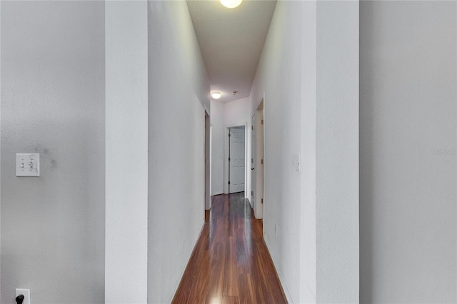 hallway with dark wood-type flooring