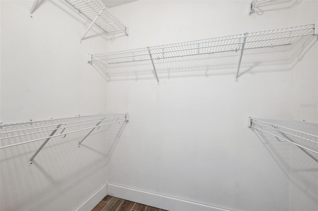 105 4th Ave NE Unit 418, Saint Petersburg, FL 33701 - spacious closet featuring dark hardwood / wood-style floors