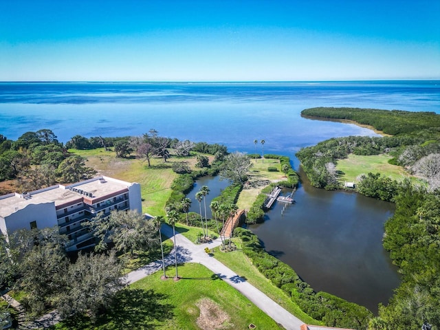 bird's eye view with a water view