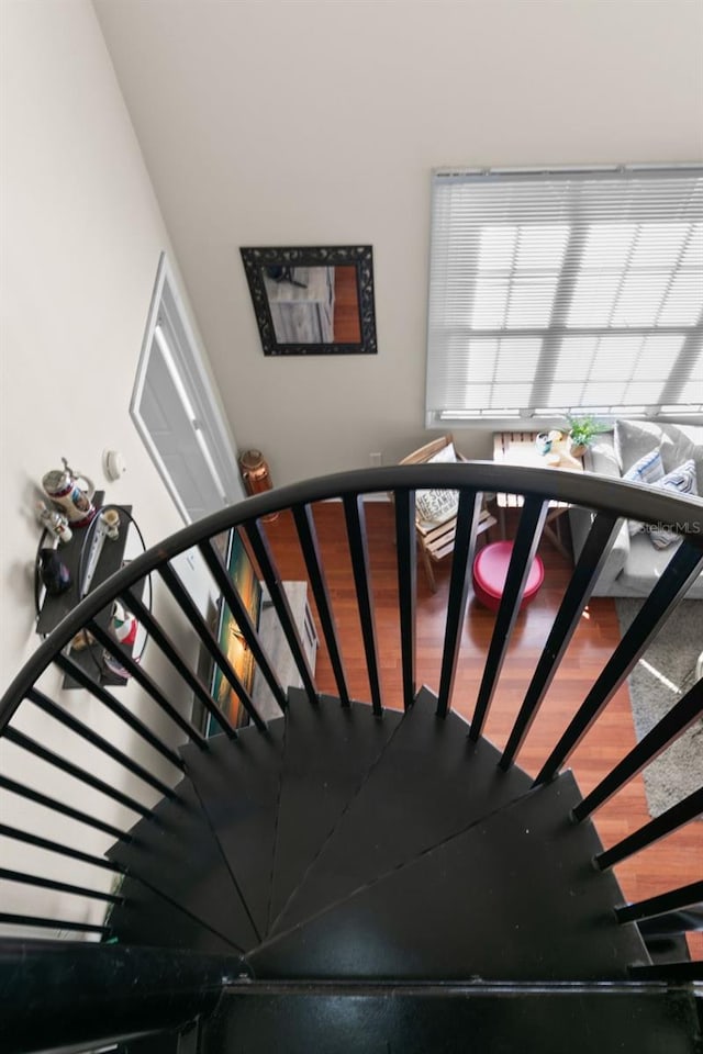 staircase with wood-type flooring