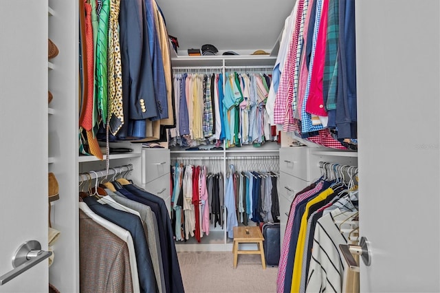 spacious closet with carpet flooring