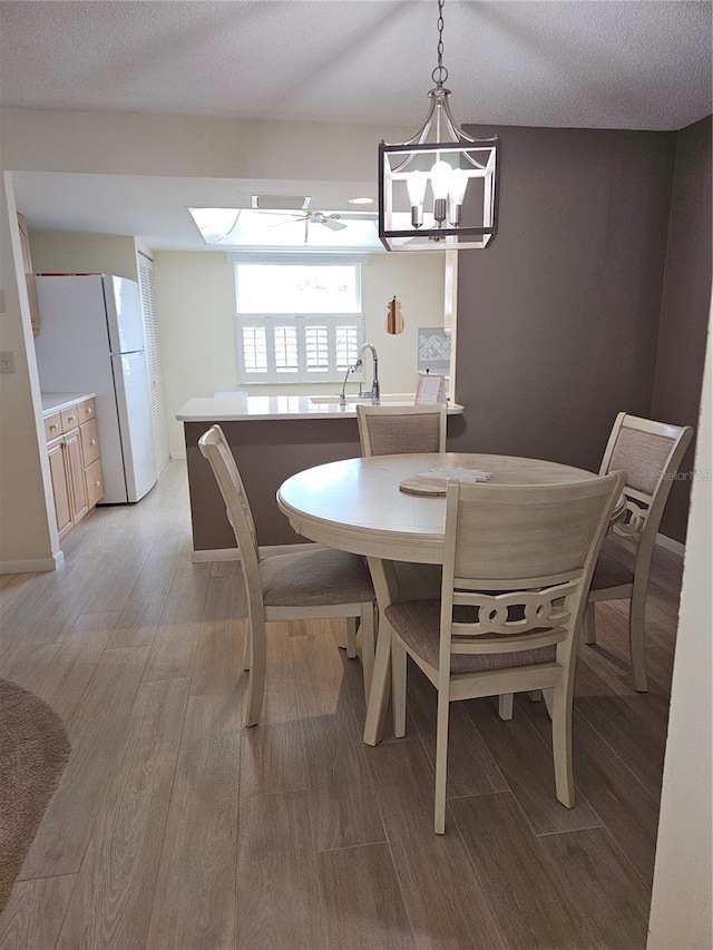 dining room featuring sink, light hardwood / wood-style flooring, and a textured ceiling