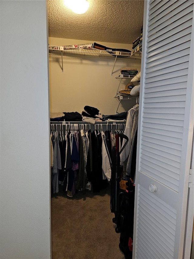 spacious closet featuring dark carpet