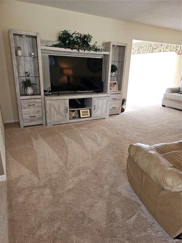 living room featuring carpet floors and a textured ceiling