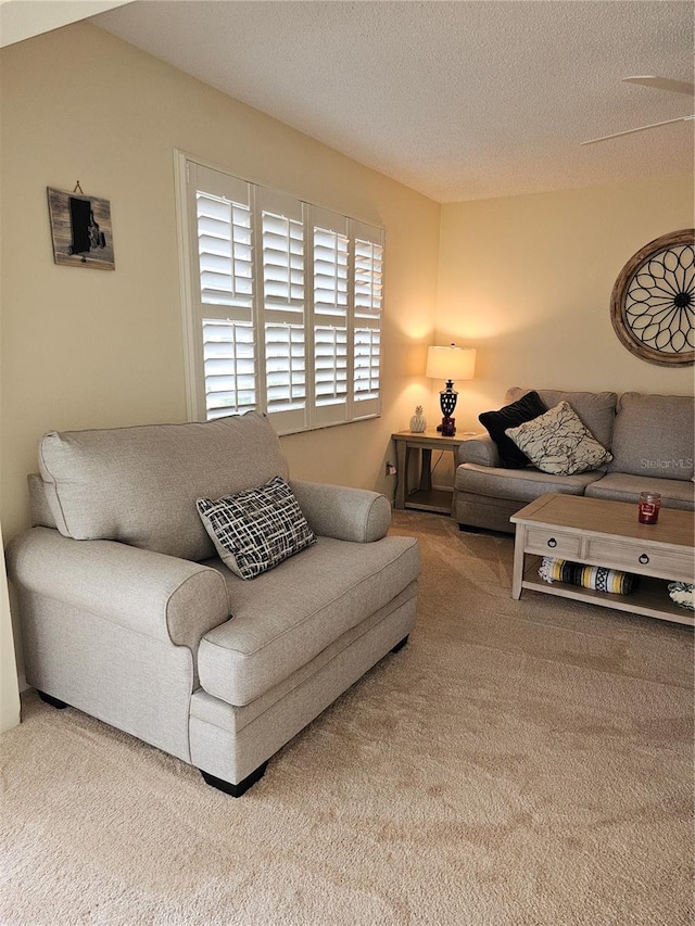 carpeted living room with a textured ceiling