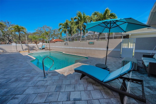 view of pool with a patio area, a fenced backyard, and a fenced in pool