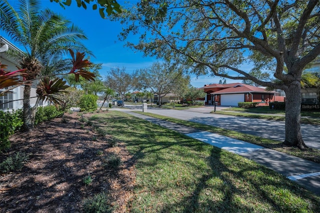 view of yard featuring driveway