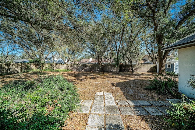3013 Ridgevale Cir, Valrico, FL 33596 - view of yard featuring a fenced backyard