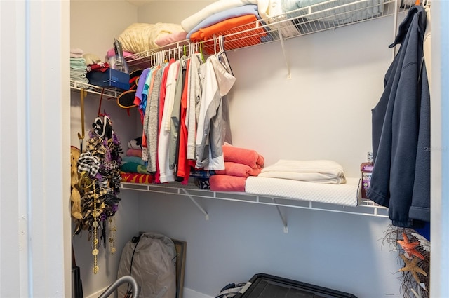 view of spacious closet