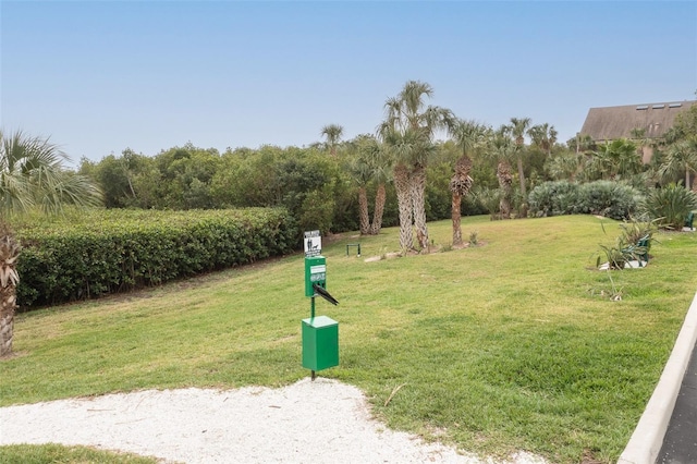 view of home's community with a yard