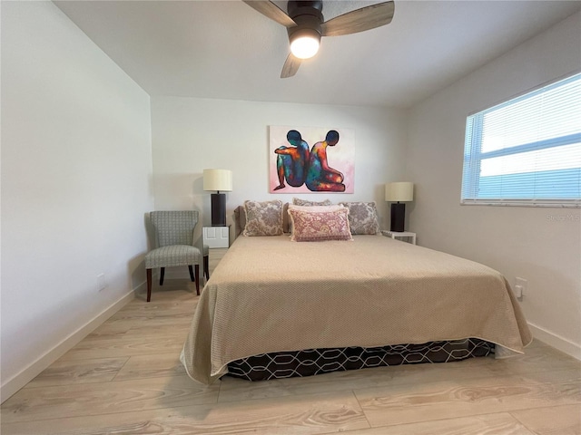 250 Rosery Rd NW Unit 329, Largo, FL 33770 - photo 11