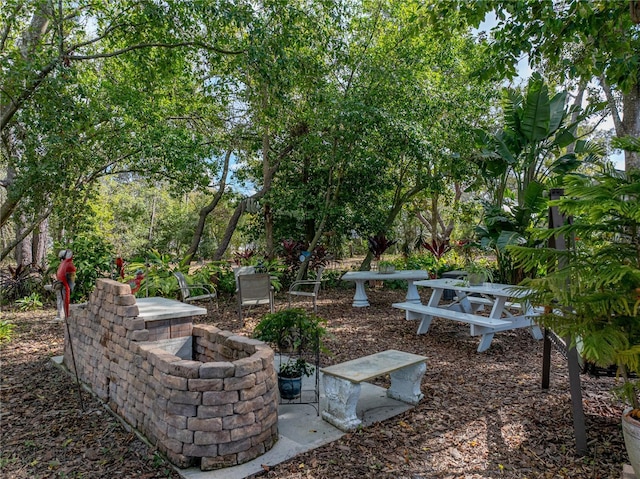 view of yard featuring an outdoor fire pit