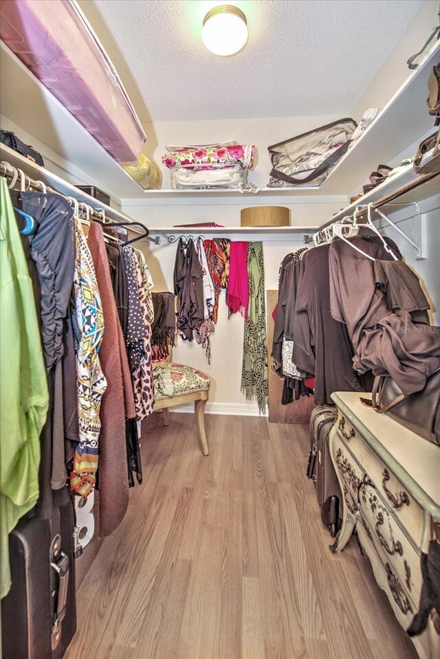 walk in closet with light wood-type flooring