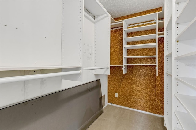 spacious closet with light colored carpet