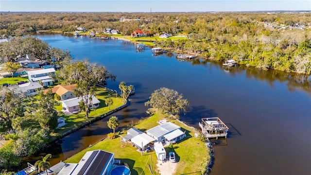 bird's eye view featuring a water view and a view of trees