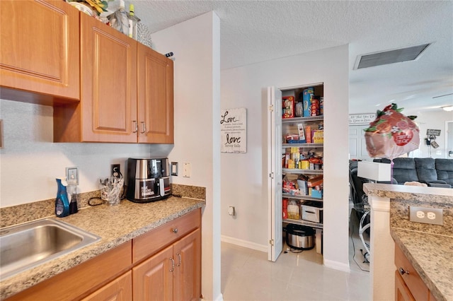 pantry with a sink and visible vents