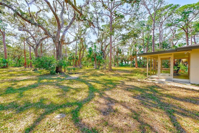 view of yard featuring a patio