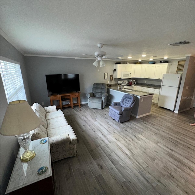 living room featuring sink, a textured ceiling, light wood-type flooring, ornamental molding, and ceiling fan