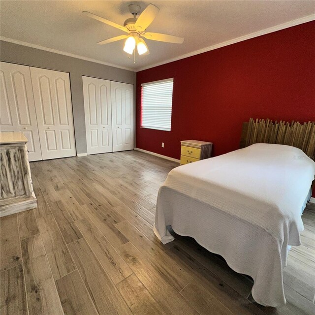 bedroom featuring crown molding, two closets, ceiling fan, and light hardwood / wood-style flooring