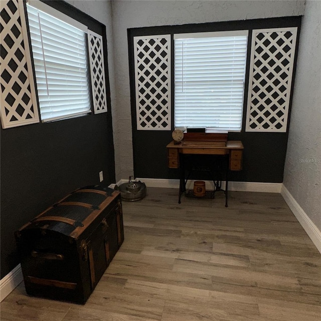 misc room featuring hardwood / wood-style flooring