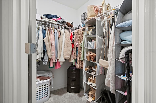 walk in closet with carpet flooring