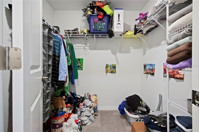 spacious closet featuring carpet