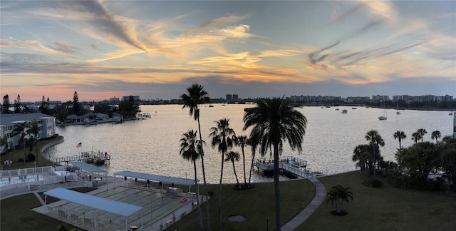 water view featuring a boat dock