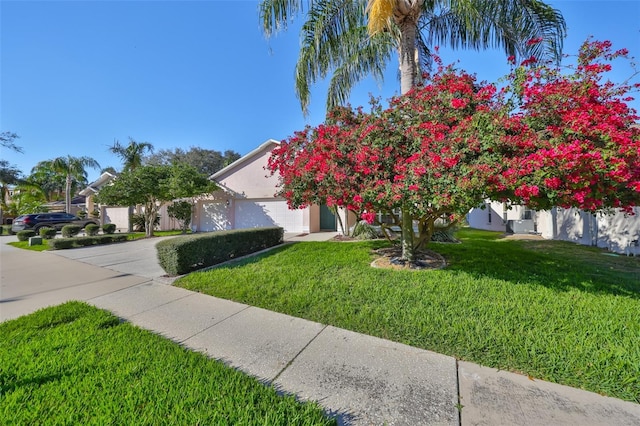 obstructed view of property with concrete driveway, a front lawn, an attached garage, and stucco siding