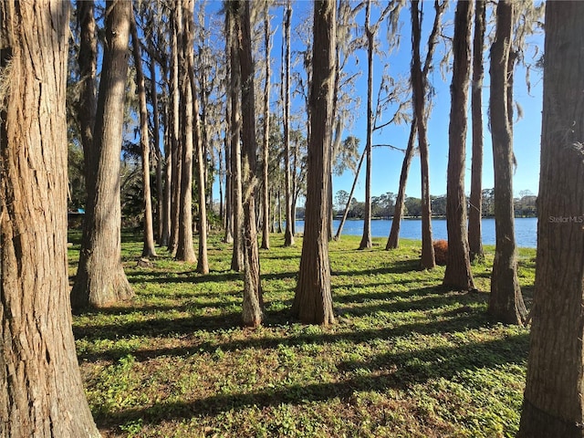 view of yard featuring a water view