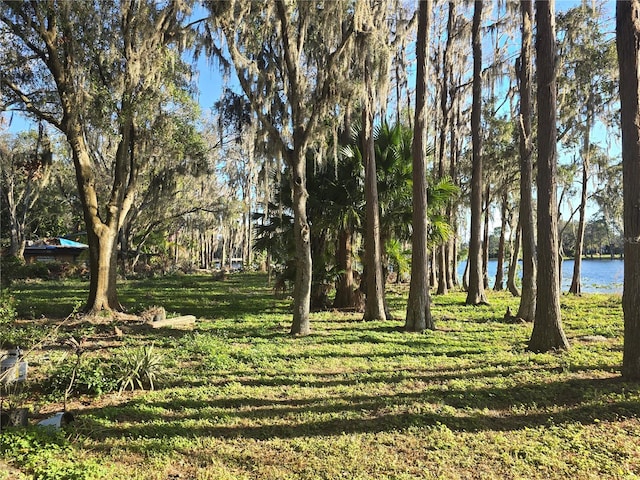 view of yard featuring a water view