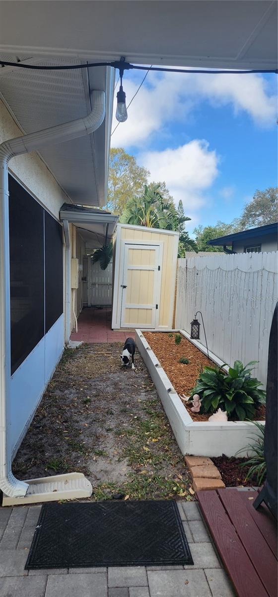 view of yard with a shed