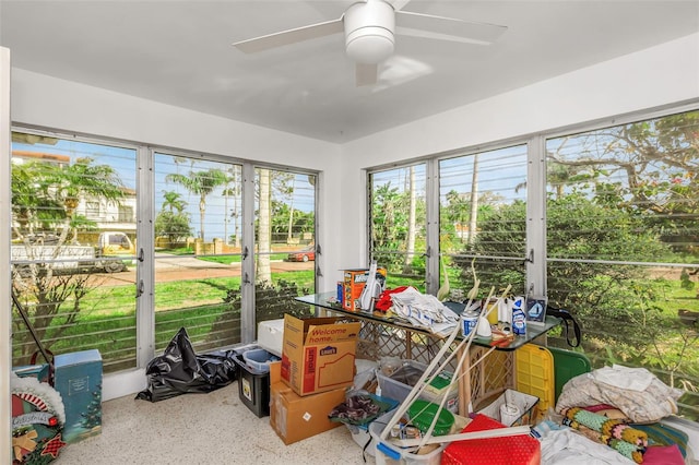 100 Buena Vista Dr S, Dunedin, FL 34698 - photo 24