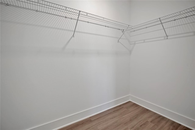 walk in closet with dark wood finished floors